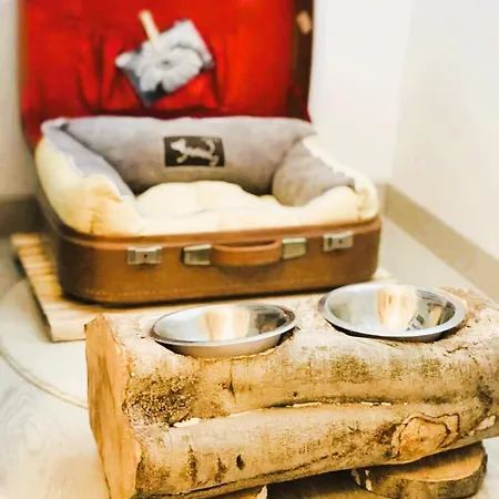 公寓 A Xanela Do Salnes *