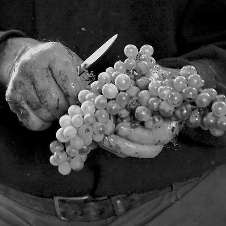 A Xanela Do Salnes Ribadumia