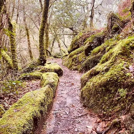 A Xanela Do Salnes 公寓 Ribadumia