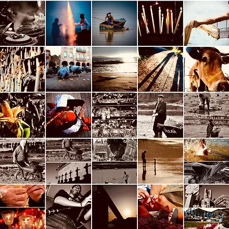 A Xanela Do Salnes *